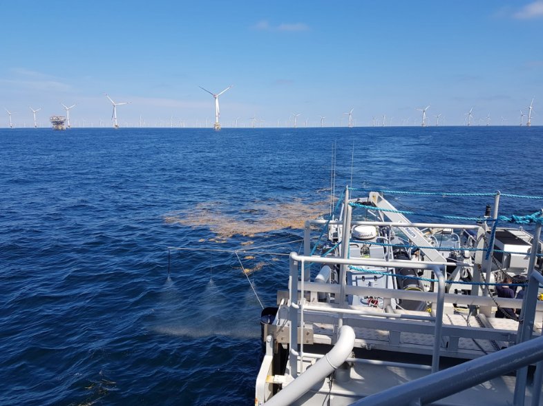 Commandant_Cstr's tweet photo. Pollution exercise in the #windmillfarm with #Zeetijger #Provider #Patrolaircraft_BBM and @Leefmilieu
Thanks @ Royal Belgian Institute of Natural Sciences for the pictures https://t.co/Bo4PAzKJiY