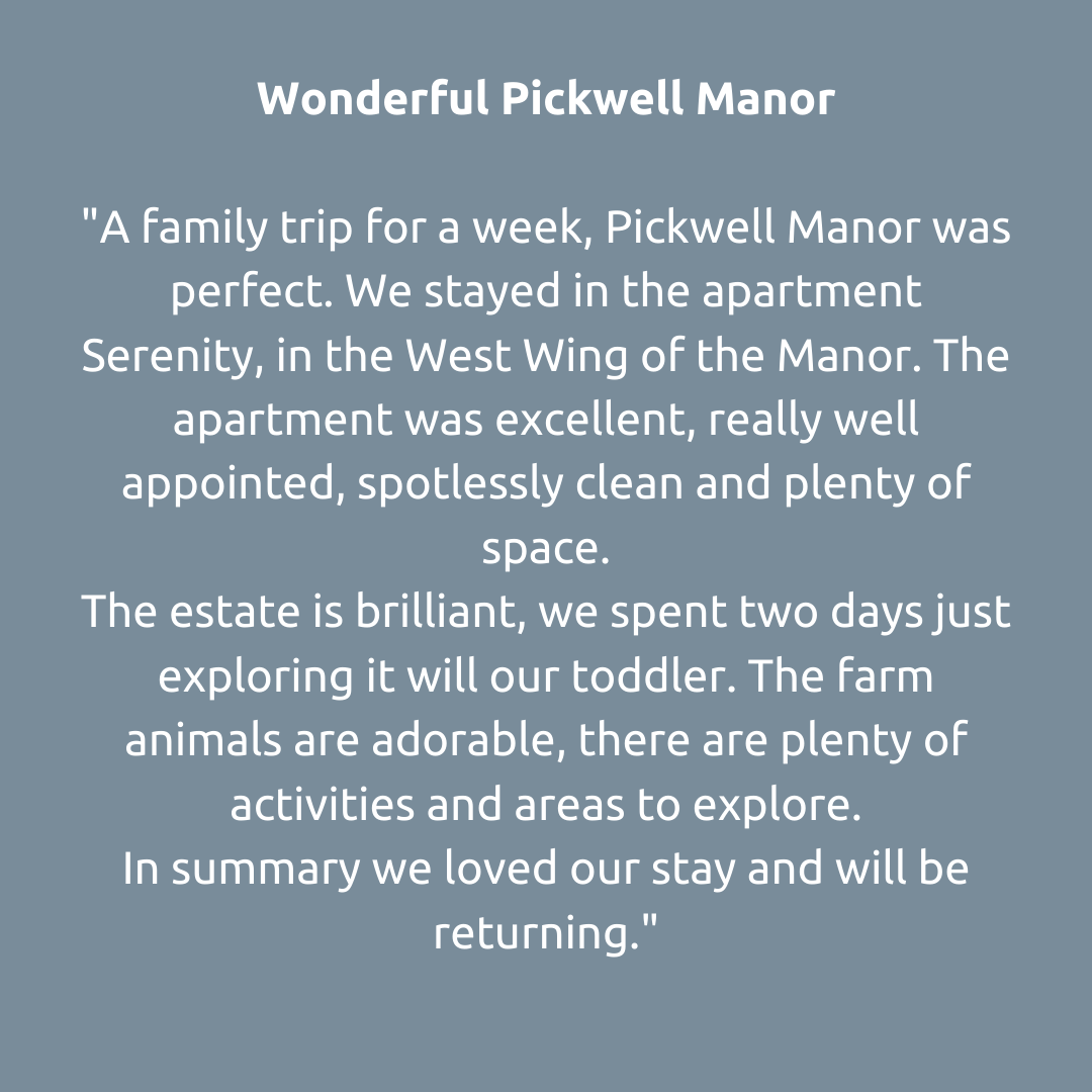 A lovely review from a recent guest ❤️