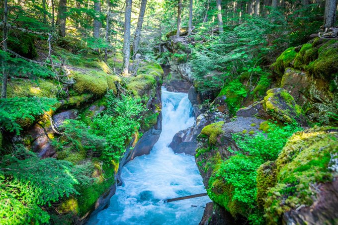 Hiking through #glaciernationalpark #montana https://t.co/m2WqNbU4CQ<a href="/tag/glaciernationalpark"class="tags">#glaciernationalpark</a><a href="/tag/montana"class="tags">#montana</a>