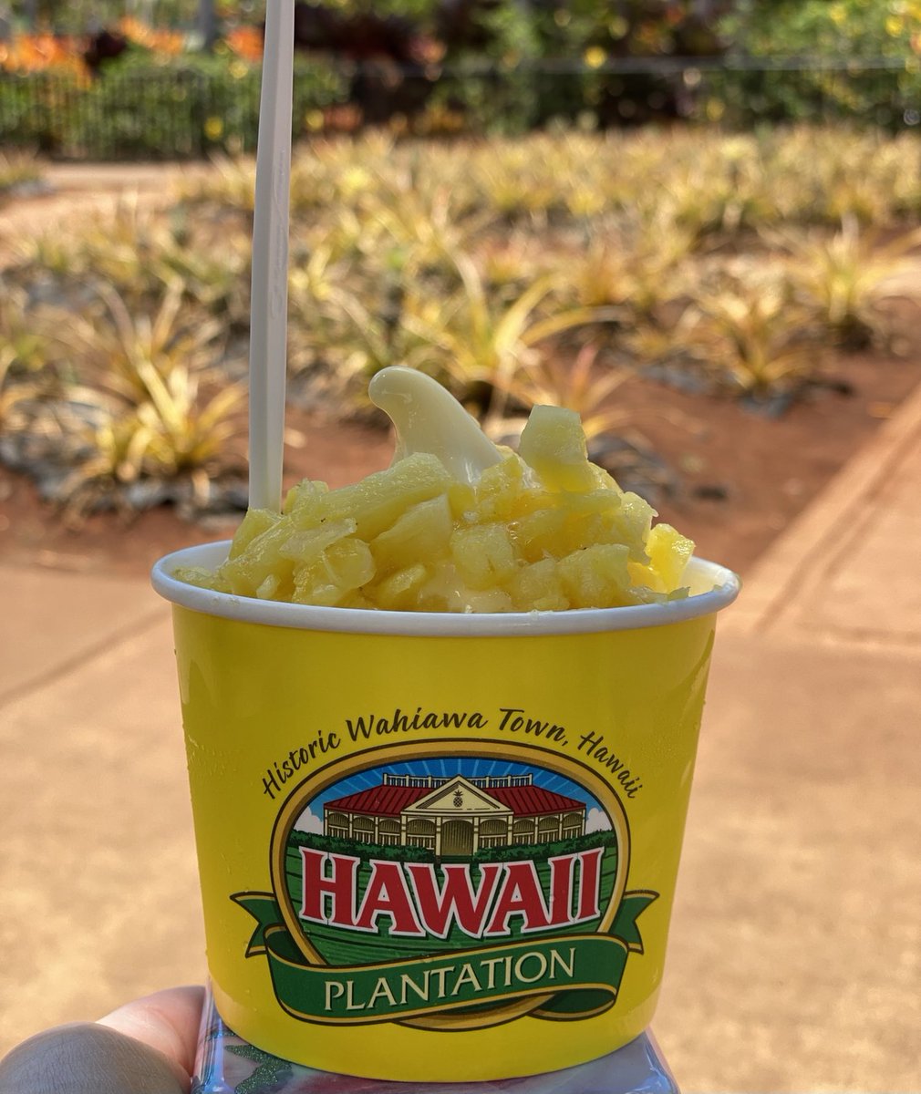 Puanani322's tweet photo. If you like Pineapple 🍍 this is a must stop for you!! We always stop by for the soft serve!! 😋 onolicious #Dole #Wahiawa #Alldayfun #themazeisnojoke https://t.co/S96l5qfLfS