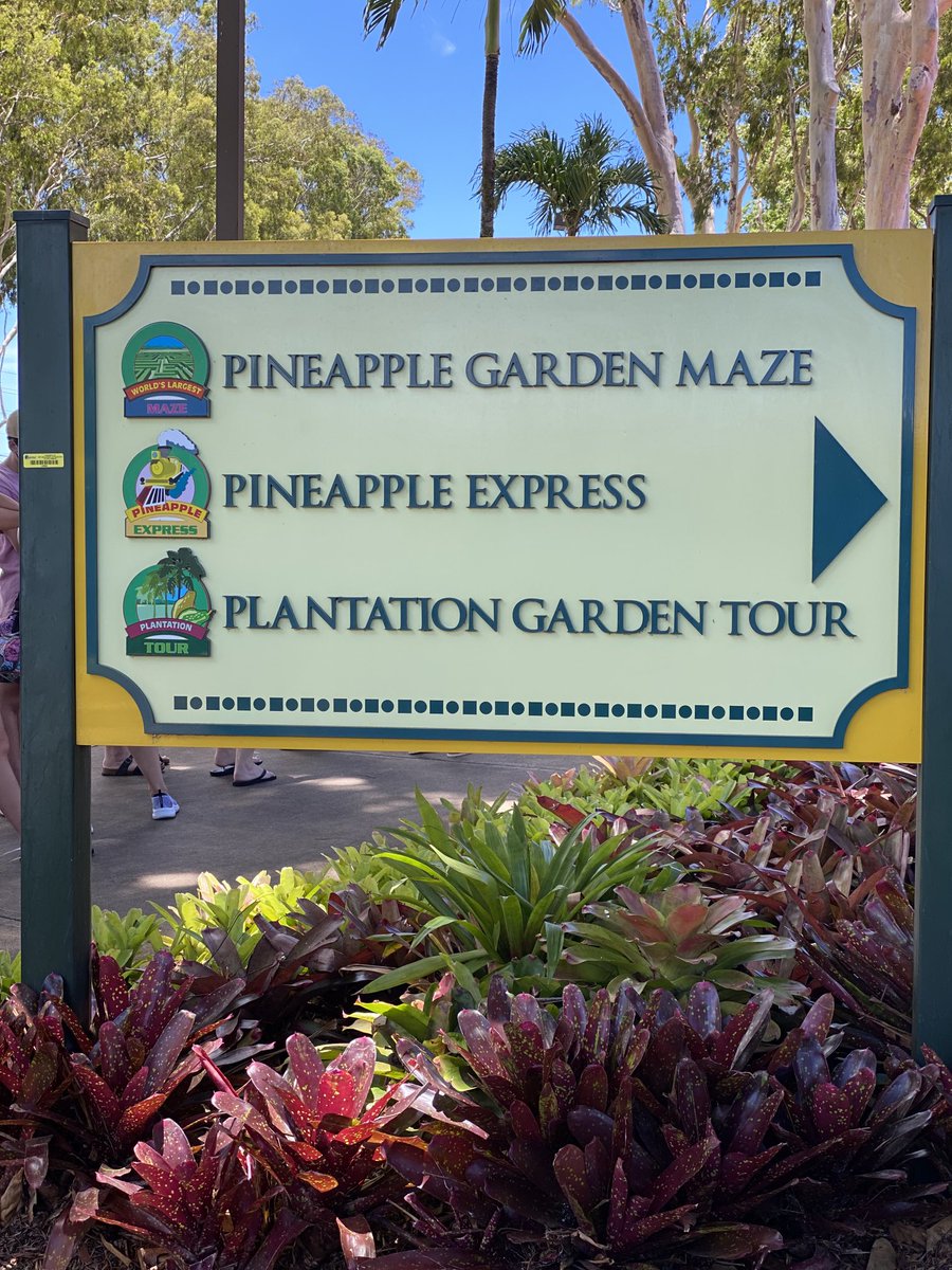 Puanani322's tweet photo. If you like Pineapple 🍍 this is a must stop for you!! We always stop by for the soft serve!! 😋 onolicious #Dole #Wahiawa #Alldayfun #themazeisnojoke https://t.co/S96l5qfLfS