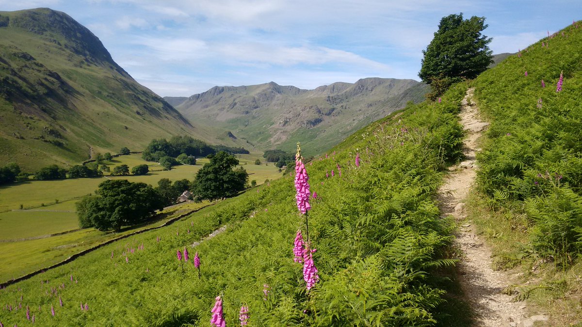 wildlakesrunner's tweet photo. A beautiful day out, looks like I've picked a good week to be off ☺ https://t.co/SRCm7z0hVJ