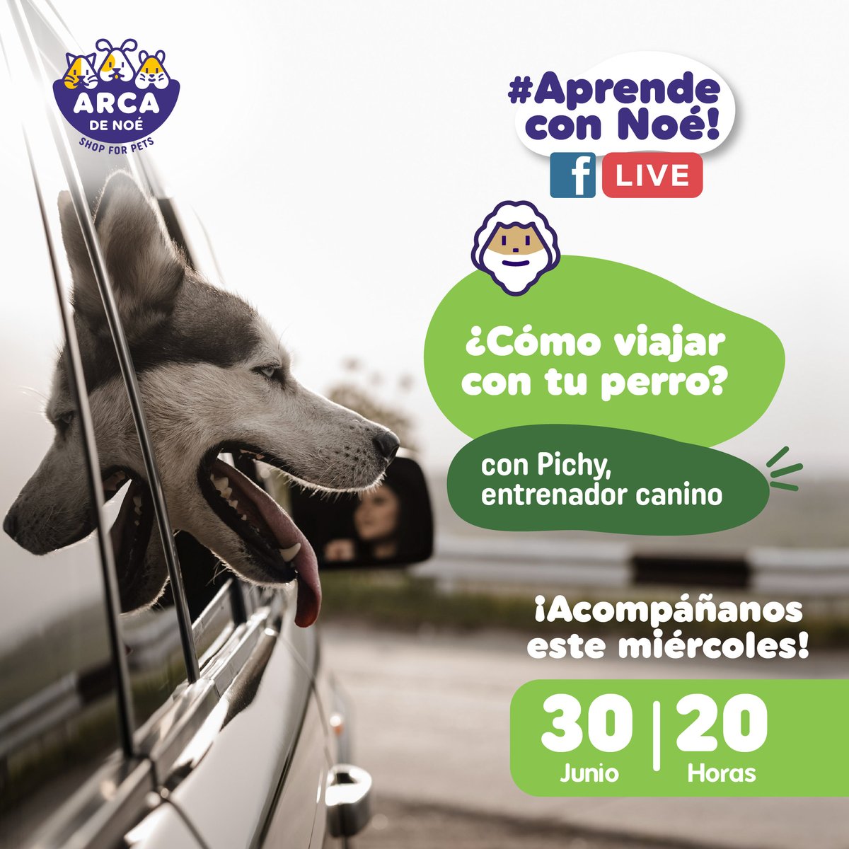 #AprendeConNoé🐾😍
Una lista completa de que hacer y cómo puedes mantener cómodo a tu peludo a donde quiera que vayan!
🐕‍🦺🐾
Conéctate con nosotros este miércoles 30 de junio a las 8:00 de la noche. ⏱
¡No te lo pierdas! 🤩
#ArcaDeNoé #ShopForPet