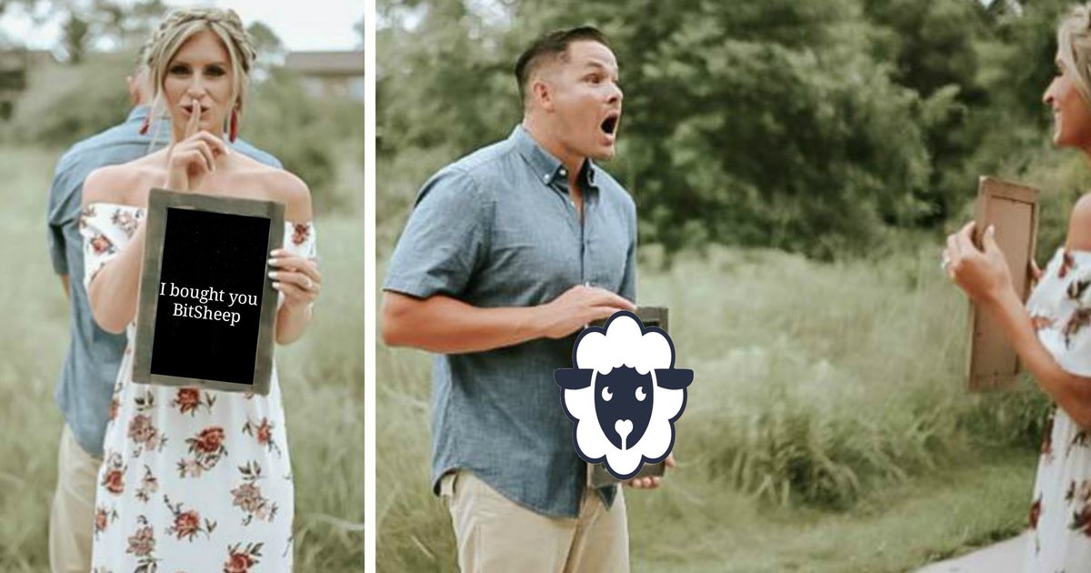 Nenobriedis's tweet photo. #BitSheep #BitSheepMoonSheep 
#LoveIsInTheAir #RelationshipGoals #love #memesdaily #memes2021 #Crypto #Cryptocurency #CryptoNews @elonmusk @BitSheepToken @binance @BinanceChain @cz_binance @coinbase @CoinDesk @coingecko @CoinMarketCap https://t.co/7L1SuEFmp0