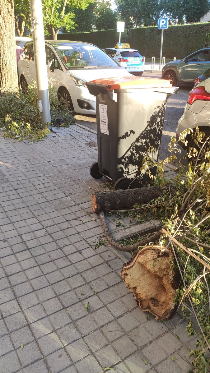 Albapoxi's tweet photo. @Lineamadrid 15 días con las ramas en el suelo después de haber sido cortadas por los bomberos por caerse sobre un coche. ¿Pueden pasar a retirarlas, por favor? C/ Torquemada, 14-16 28043 Madrid. Gracias https://t.co/nrEUWYhbHA