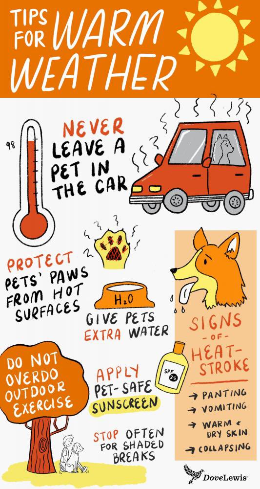 We’re having a #HeatWave and it’s not even July yet 😉
Take precautions. Hydrate. Stay cool. Check in on the elderly. Never leave a child/baby in a vehicle. Remember your pets get hot too.