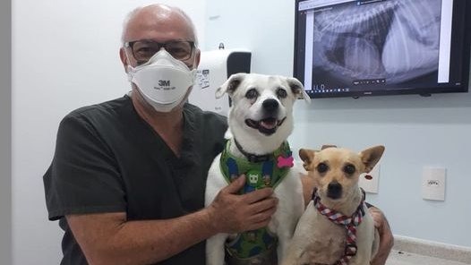 amparanimal's tweet photo. Pirata e Belinha são cachorras com histórias difíceis e que hoje estão realizando tratamentos na @steticdogs, clínica parceria da AMPARA Animal. Elas são sempre cuidadas com muito carinho e atenção!
#amparaparceria #amparanimal #protecaoanimal https://t.co/FQT6x8BzDd