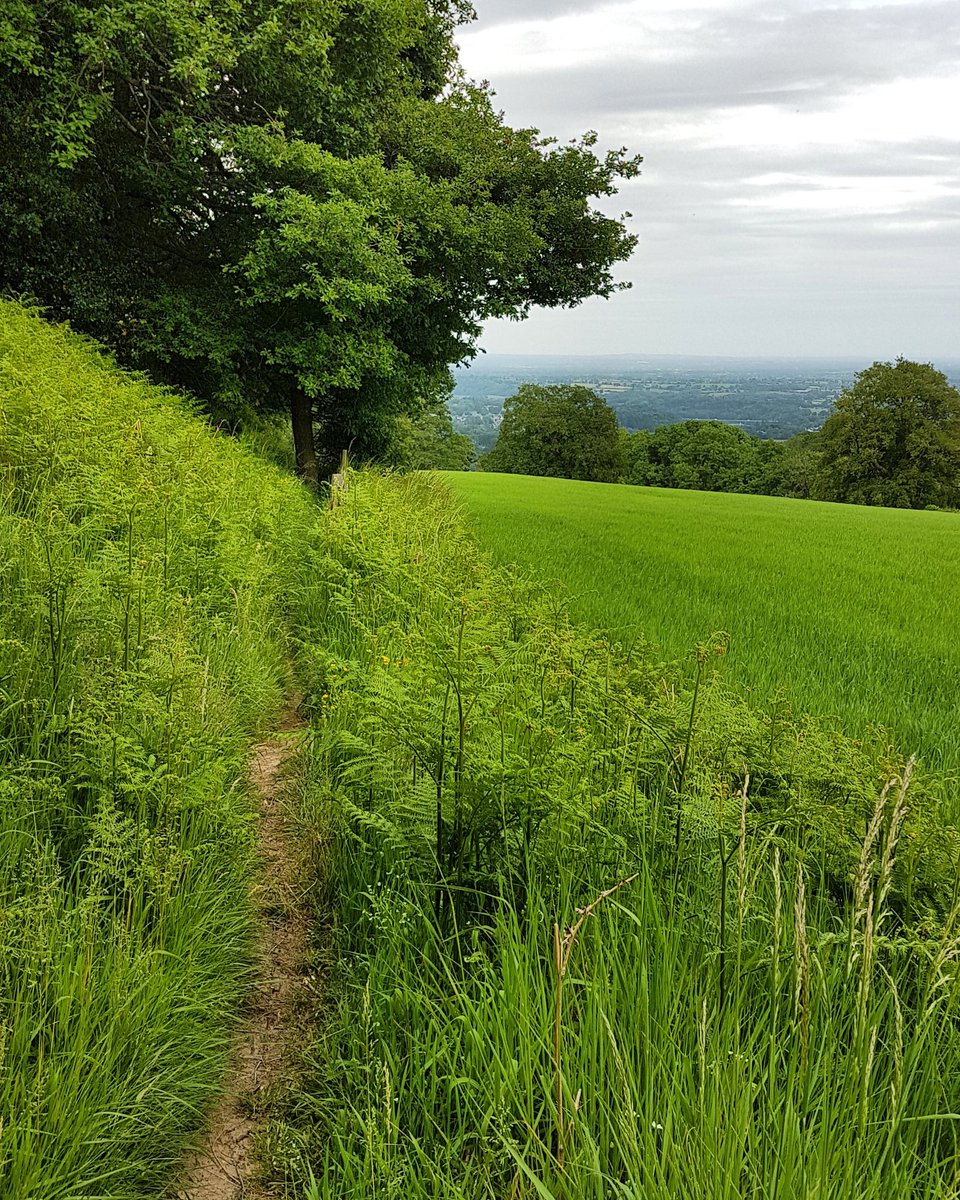 ShropsWayRaces's tweet photo. From today, every week we'll be showing off part of the Shropshire Way Ultra route with a #TrailTuesday picture! https://t.co/VLvtzKaQSN