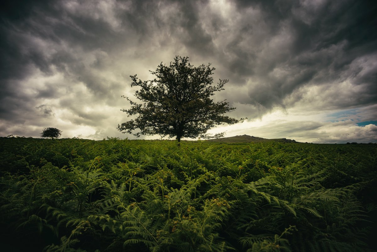 GlavindStrachan's tweet photo. Few more from our #hike the other day #Sourton #ShelstoneTor #OkementRiver and #LintsTor on #Dartmoor ... too many good ones to miss! π Hope you enjoy them #DartmoorPhotographer #DartmoorNPA #GoDartmoor #DevonPhotographer #PrintsAvailable π https://t.co/Qhc0MLjBzf