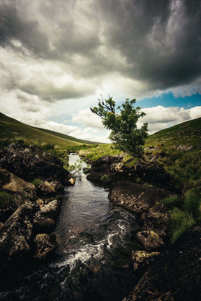 GlavindStrachan's tweet photo. Few more from our #hike the other day #Sourton #ShelstoneTor #OkementRiver and #LintsTor on #Dartmoor ... too many good ones to miss! π Hope you enjoy them #DartmoorPhotographer #DartmoorNPA #GoDartmoor #DevonPhotographer #PrintsAvailable π https://t.co/Qhc0MLjBzf