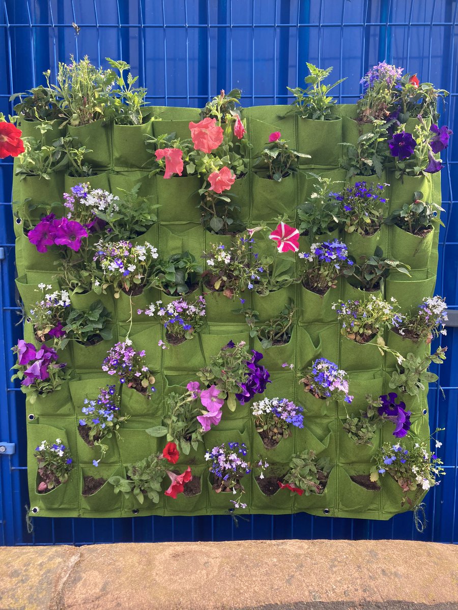 Mrs Causey (@missmarshallwps) on Twitter photo Today, we started our Green Wall! Thank you Year 4 for all of your help planting our lovely flowers πΈπΊπΏ <a href="/WaterlooPS_/">Waterloo Primary School & Nursery</a> <a href="/EcoSchools/">Eco-Schools England</a> <a href="/Clean_Air_Crew/">Clean Air Crew</a> <a href="/Eco_Centre/">Southport Eco Centre</a> Today, we started our Green Wall! Thank you Year 4 for all of your help planting our lovely flowers πΈπΊπΏ <a href="/WaterlooPS_/">Waterloo Primary School & Nursery</a> <a href="/EcoSchools/">Eco-Schools England</a> <a href="/Clean_Air_Crew/">Clean Air Crew</a> <a href="/Eco_Centre/">Southport Eco Centre</a>