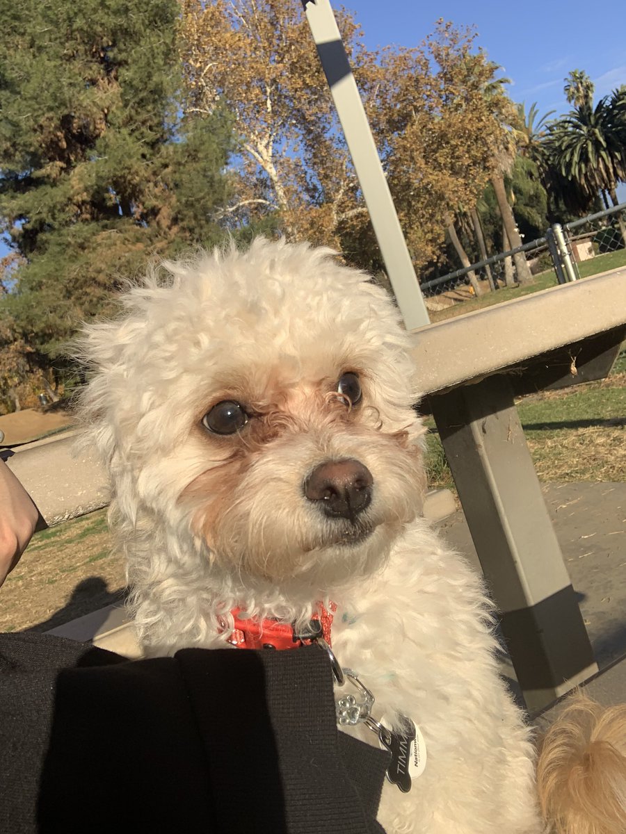 FeelsAshleyMan's tweet photo. when someone takes the piece of pizza i was eyeballin’ https://t.co/1C01Ta2s9q