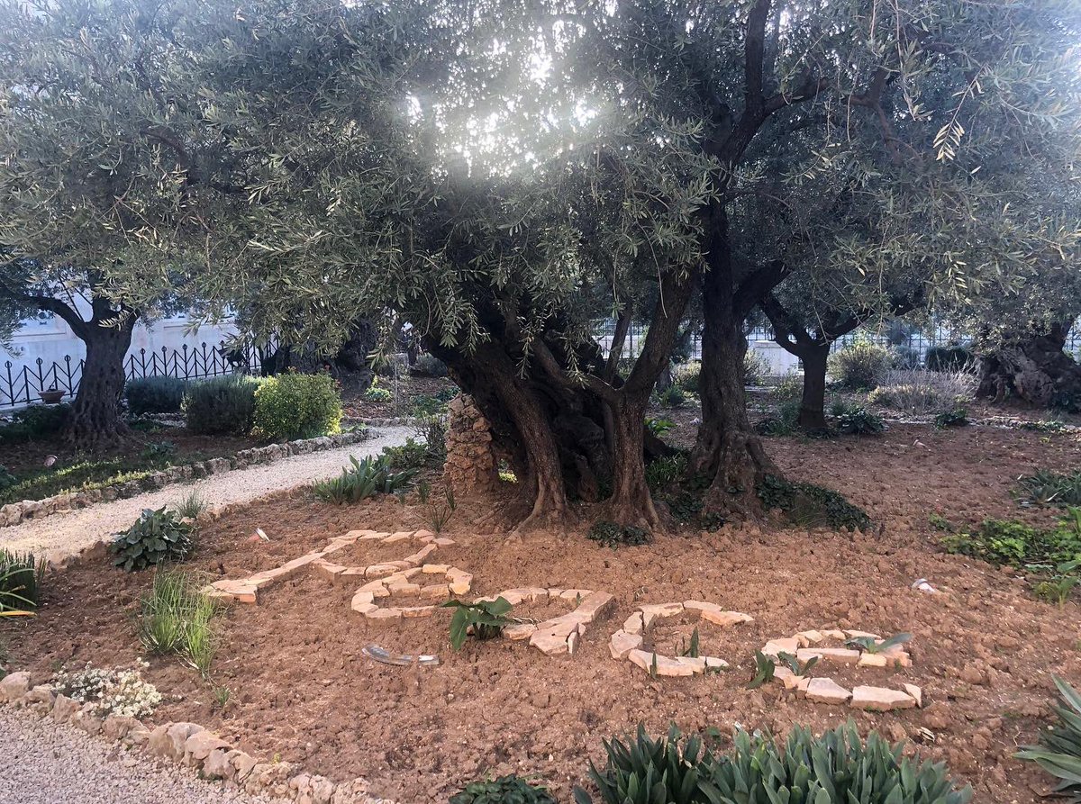 KatrinaMarsden2's tweet photo. As of recent events this past month from the Palestinian/Israeli conflict and other controversies in the world, I’ve been recognizing that underneath all the violence, hate, judgement, and differing views is: https://t.co/kwKo5azG1N