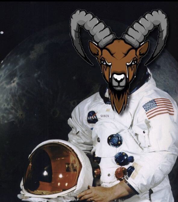 IBEX tweet media
