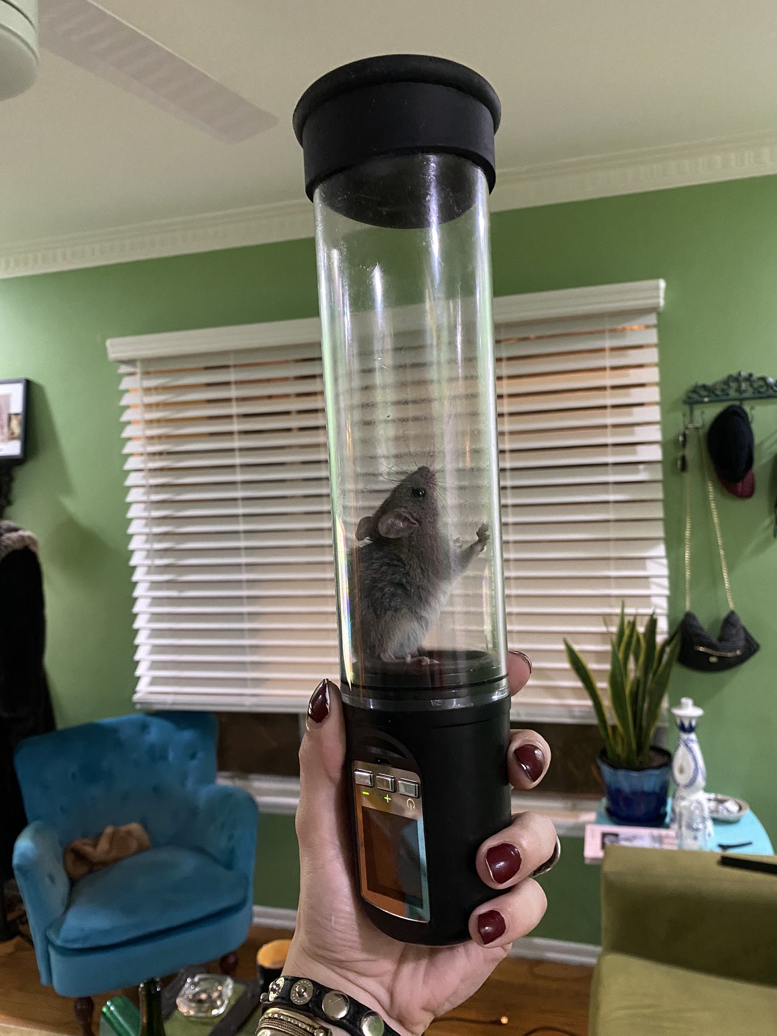 ariel demure on Twitter "My son brought me a gift. Which I will now