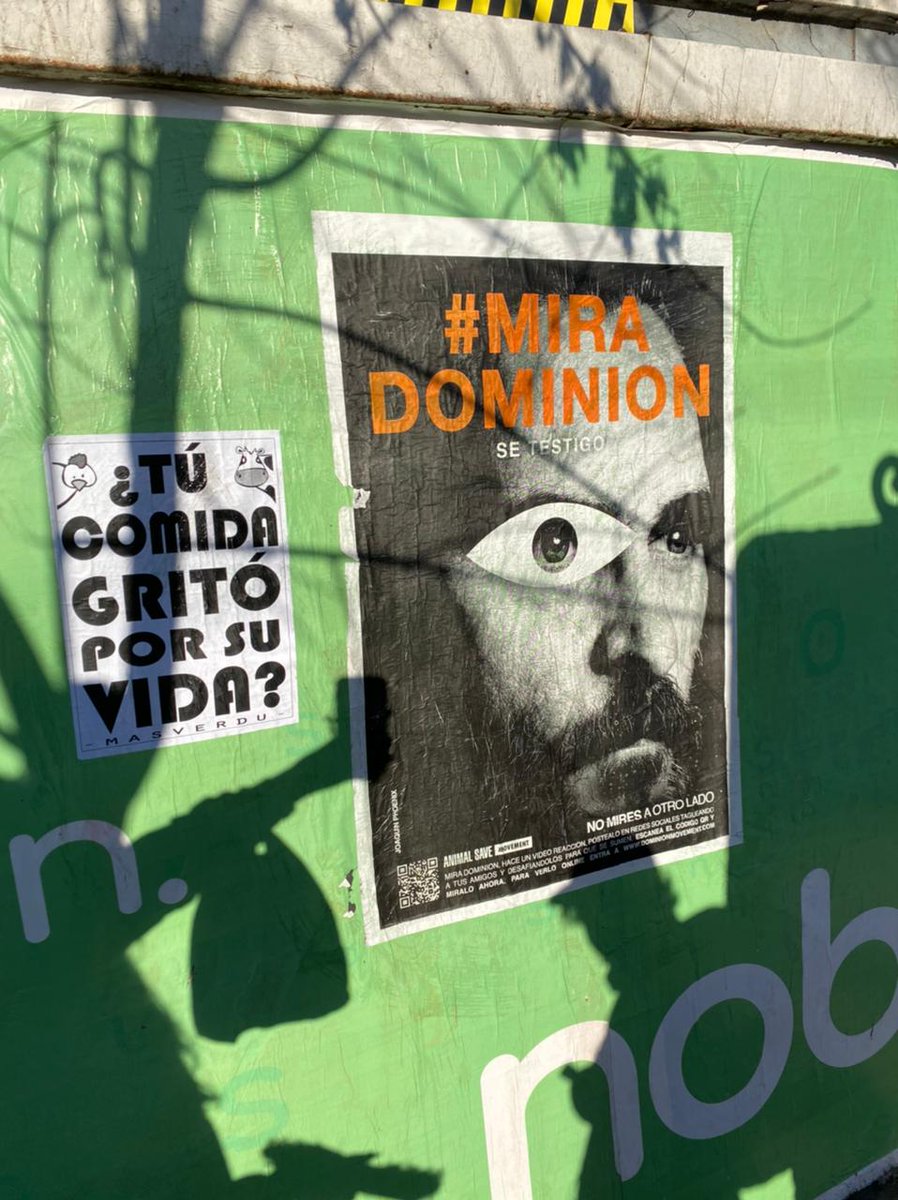 unionvegana's tweet image. 