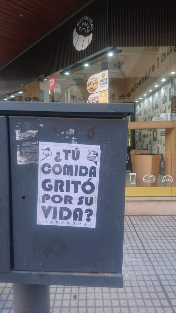 unionvegana's tweet image. 