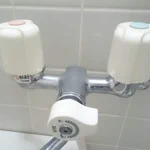 賃貸情報サイトにはこれを載せてほしい？シャワーの水栓がこれかどうか!