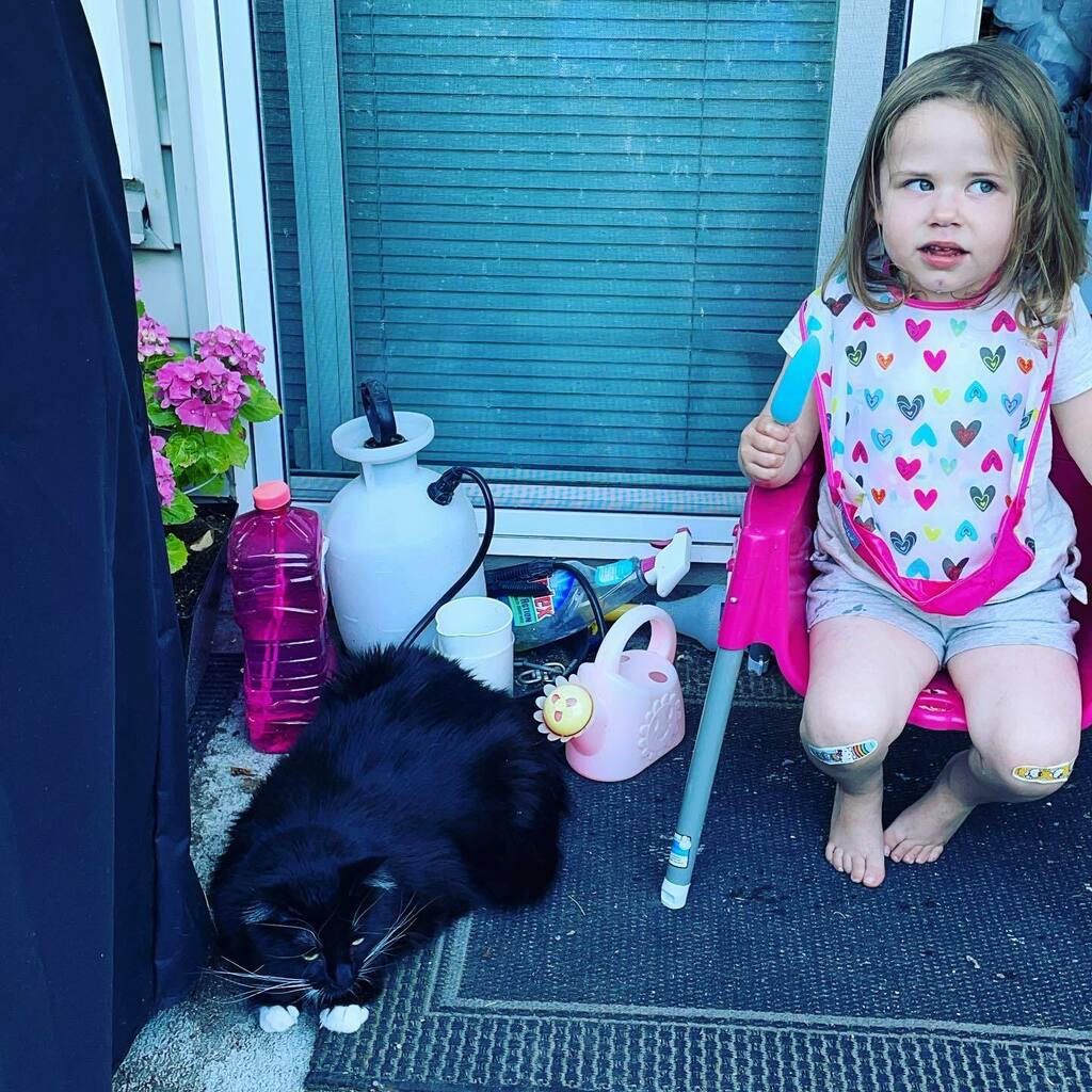 lyteforce's tweet photo. Popsicle time on the balcony with #Babyforce & #Kittyforce. https://t.co/WoHzCMn54j