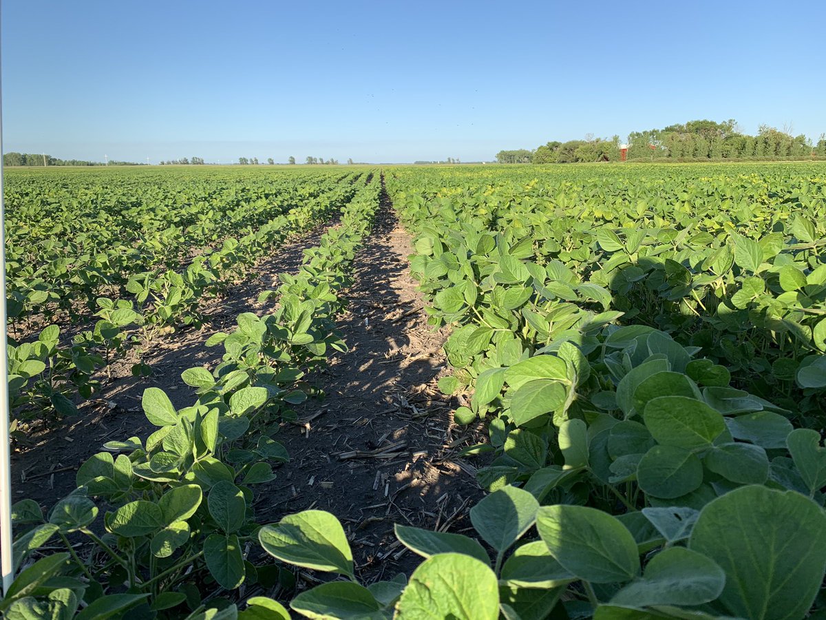 Neil Iverson tweet media