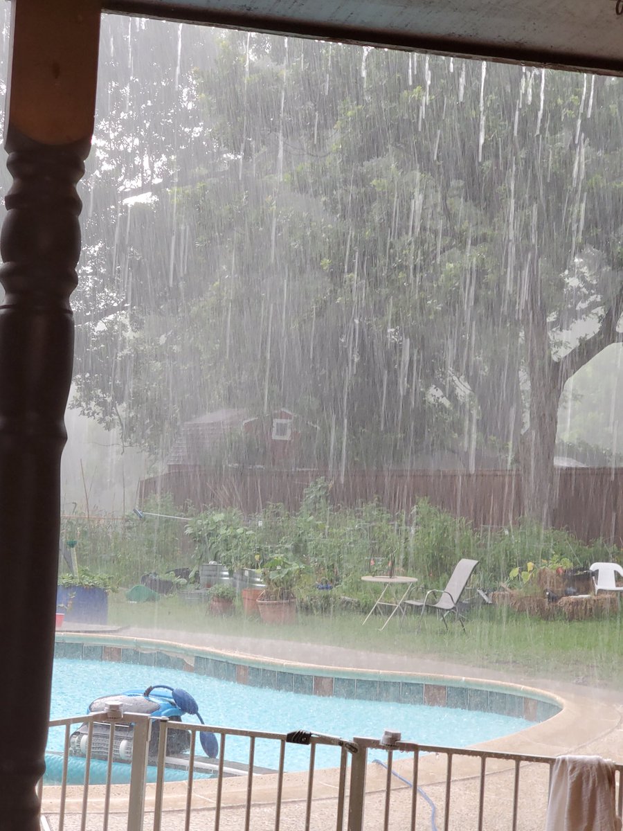 don909tiny's tweet image. 