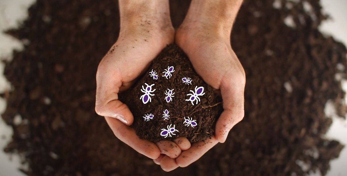 IMBatUQ's tweet photo. Happy International Mud Day! ππ₯³
Discover why mud is the gift that keeps on giving by clicking on the link below for our Soils for Science project.
#InternationalMudDay #InternationalMudDay2021 #SoilsforScience
https://t.co/eLlzwPBJYl https://t.co/CyJfsn1tgA