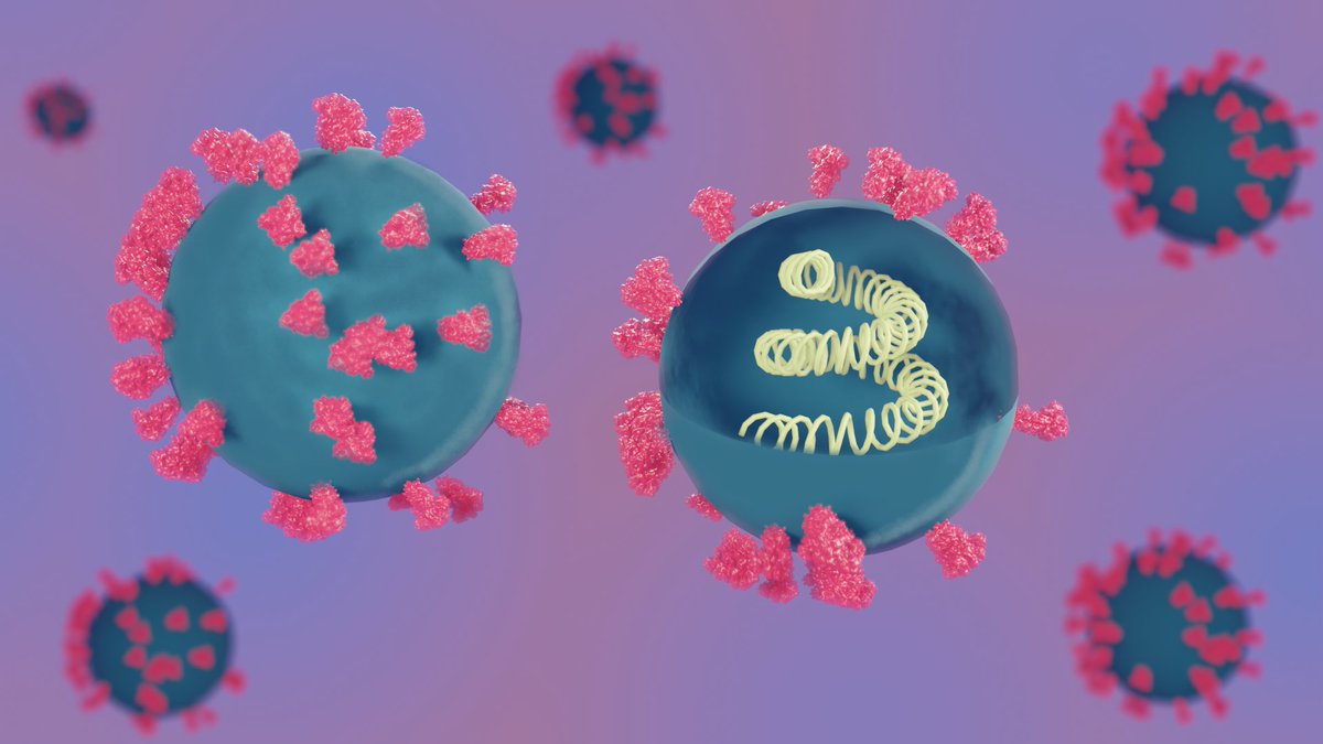 Sindhuri (@sindhur43183242) on Twitter photo One of my early attempts at using <a href="/Blender/">Blender 🔶</a> for making scientific illustrations. Thank you <a href="/Sci_Rio/">SciRio -- Broadcasting Knowledge</a> (<a href="/ChampakSuchitha/">Suchitha Champak</a> ) and <a href="/rafeequemavoor/">Rafeeque Mavoor</a> for conducting the amazing workshop.
Plz do follow them to know more of their work. One of my early attempts at using <a href="/Blender/">Blender 🔶</a> for making scientific illustrations. Thank you <a href="/Sci_Rio/">SciRio -- Broadcasting Knowledge</a> (<a href="/ChampakSuchitha/">Suchitha Champak</a> ) and <a href="/rafeequemavoor/">Rafeeque Mavoor</a> for conducting the amazing workshop.
Plz do follow them to know more of their work.