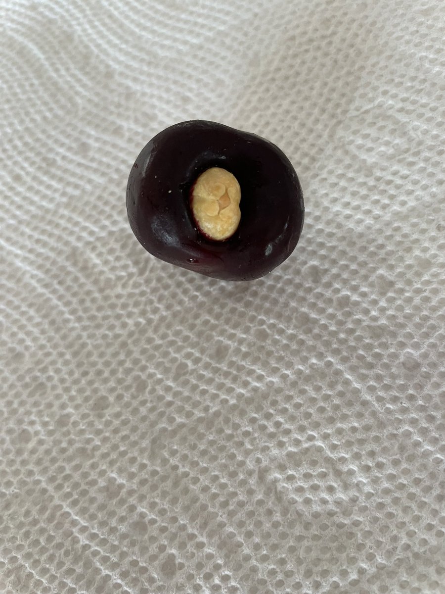 Justin Hurwitz tweet media