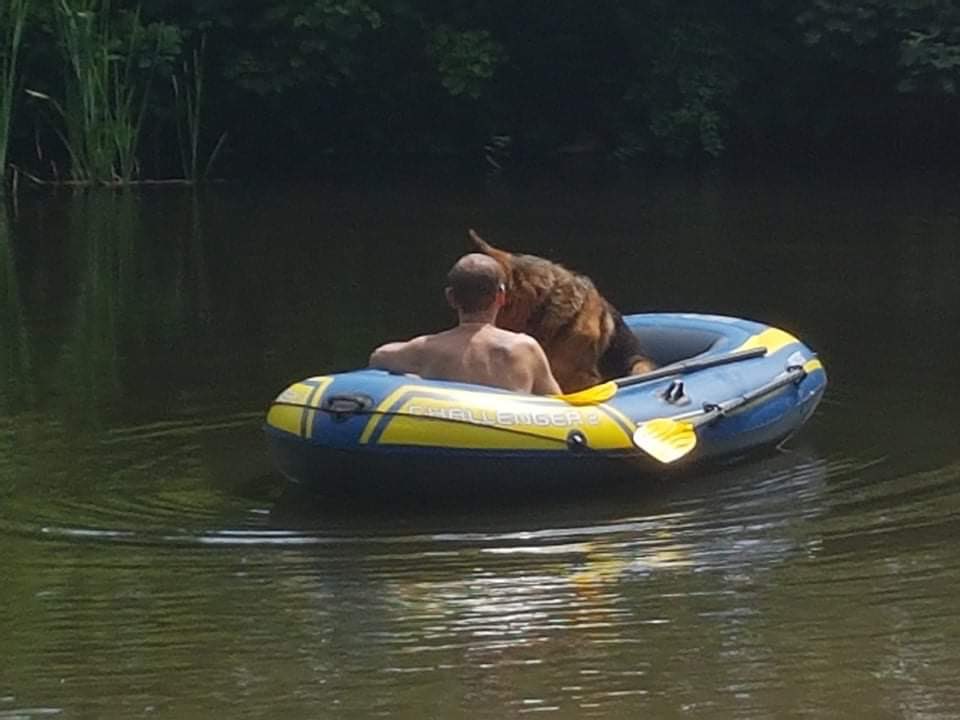 Rebecca Bebbington tweet media