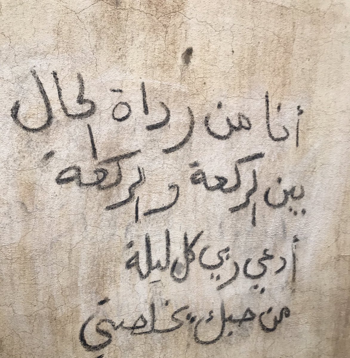صــــديق الــليل☕️ tweet media
