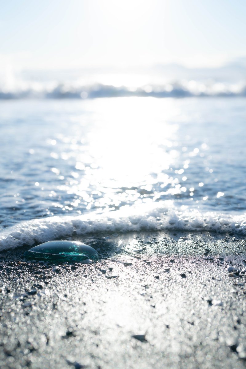 Educated501's tweet image. Seaglass tumbles in waves,
Creating iridescent colors
For our delight.
#PenYourTen
#seaglass
#thewriteprompt
#WritingCommunity 
Photo by natsuki