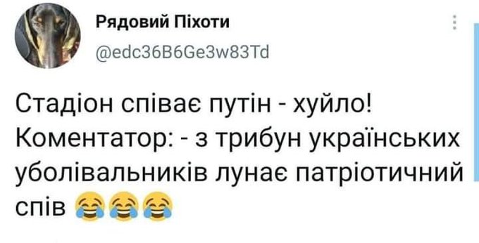 Украина победила Швецию со счетом 2:1 и выходит в четвертьфинал - Цензор.НЕТ 3395