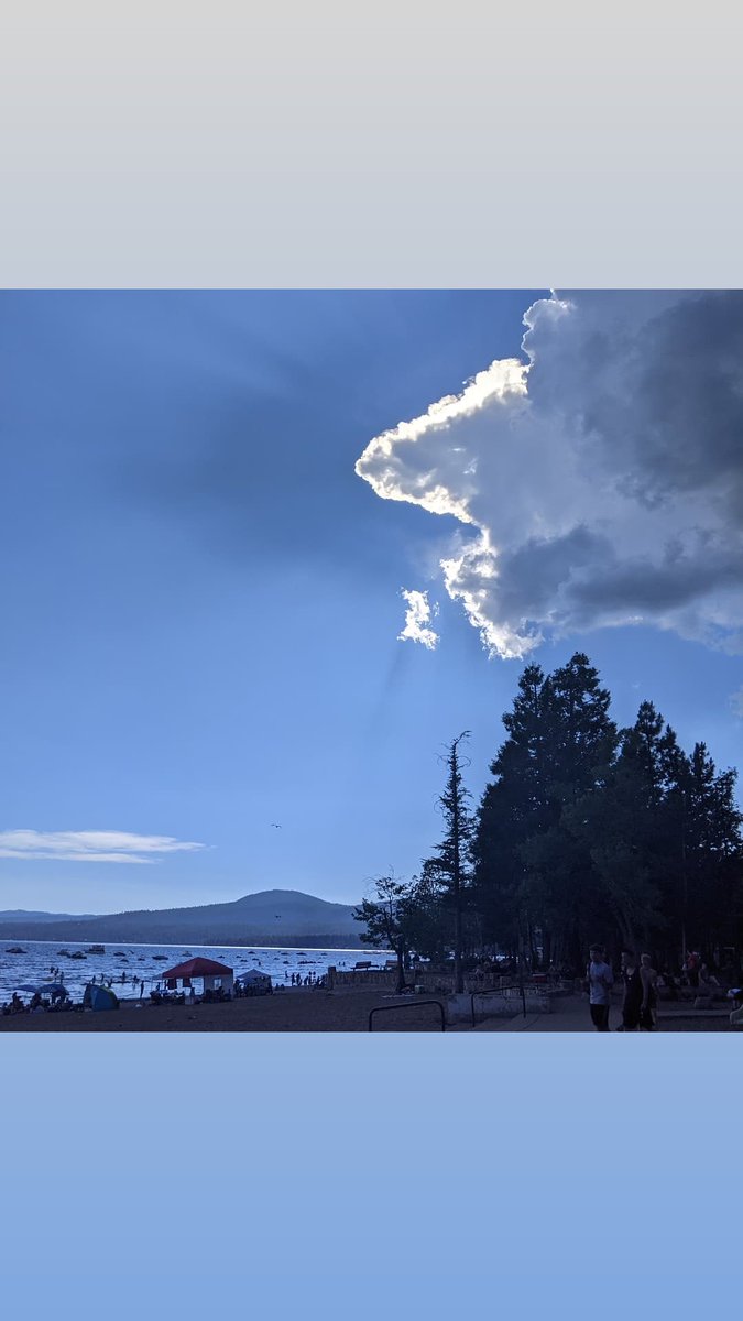 LMBoos's tweet image. When I took this photo, I didn't realize it at the time but it reminds me of a dog ❤️❤️❤️