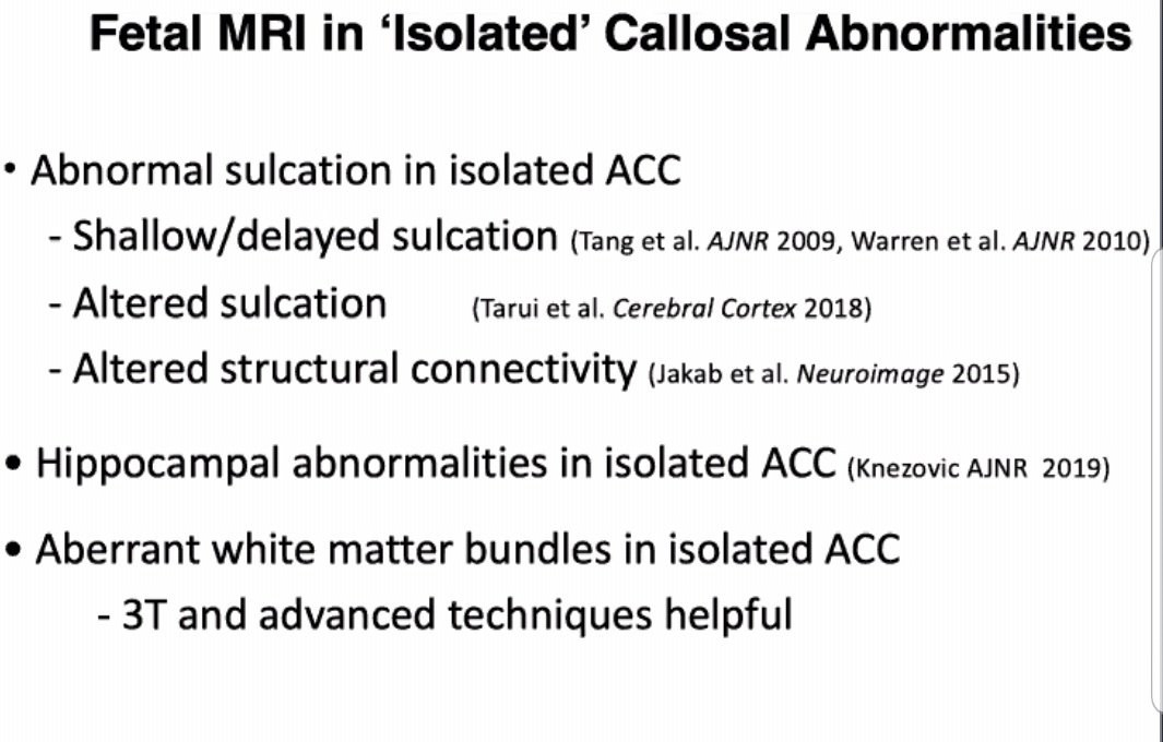 Pieta Shakes tweet media