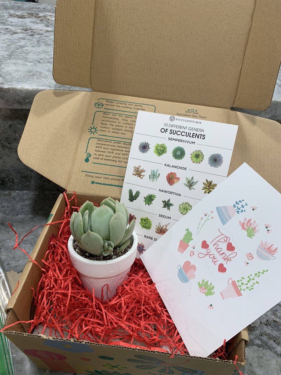 ILCULeague's tweet photo. Thank you to @FHLBC for the lovely #succulents and for supporting the #ilypconf this year! We appreciate you! https://t.co/AiaFE3RvVt