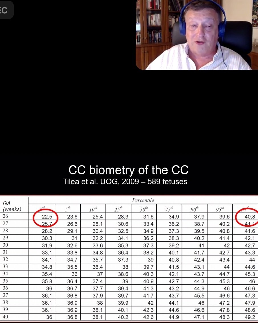 Pieta Shakes tweet media
