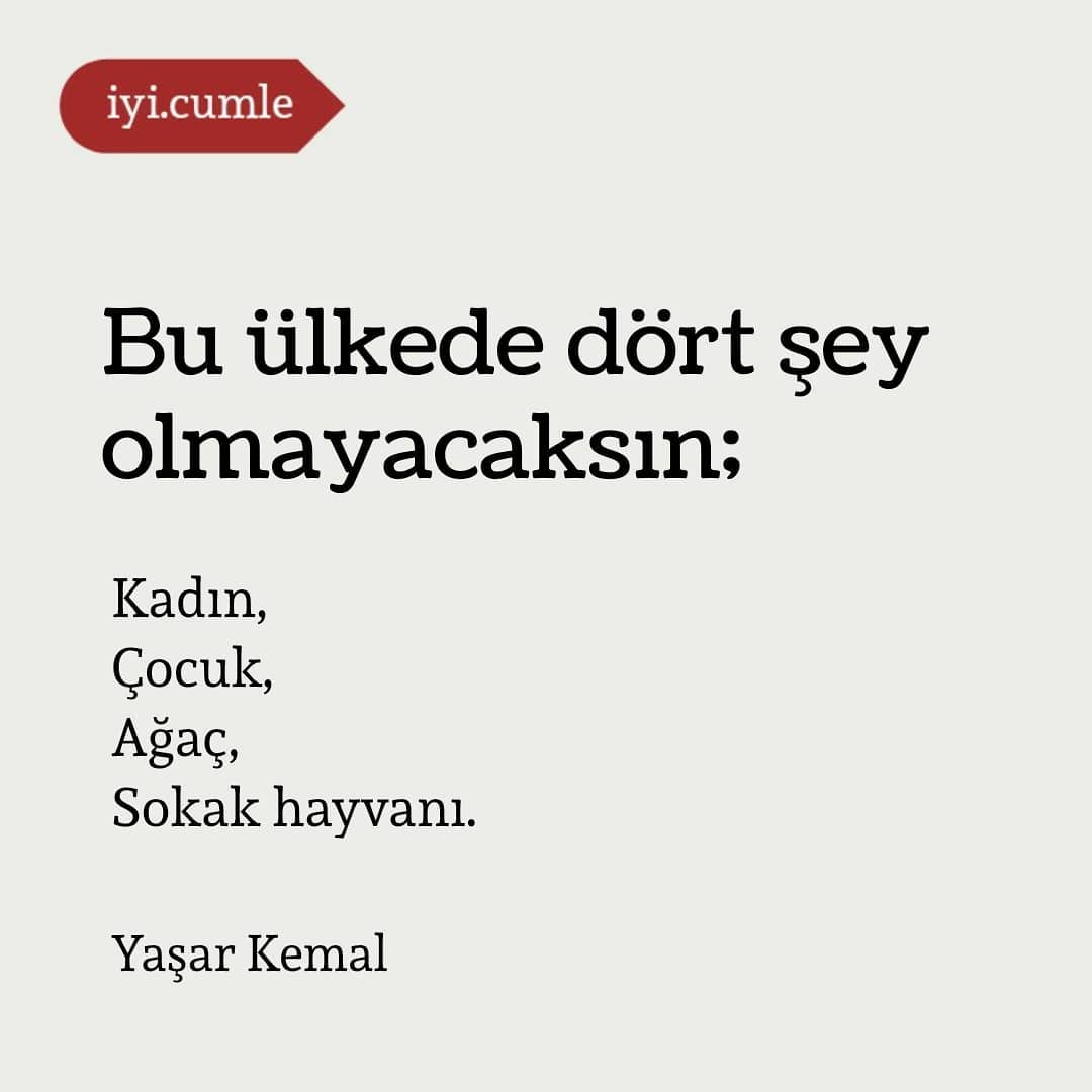 Deniz Arslan (@denizar11889330) on Twitter photo 