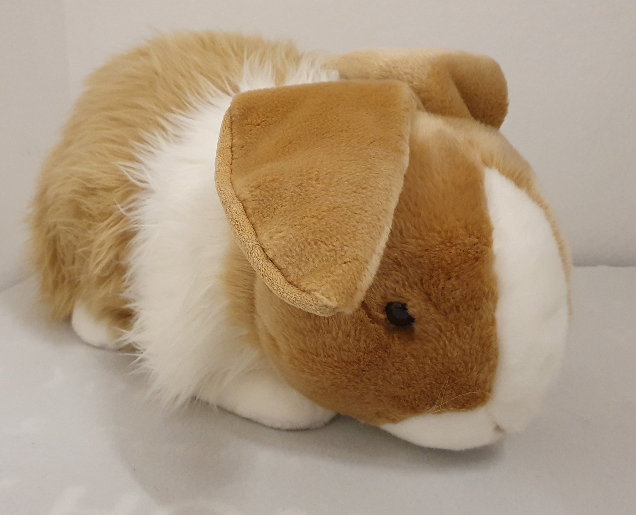 Room of 1000 eyes on X Big Rabbit Plush from Anna Club. He is about 65cm. https t 0skbQhQJ1S X
