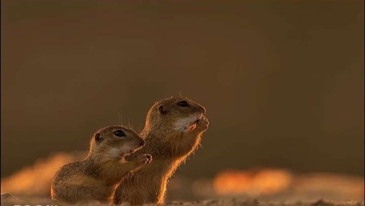 اللهم عجل بالشتا يارب🙏