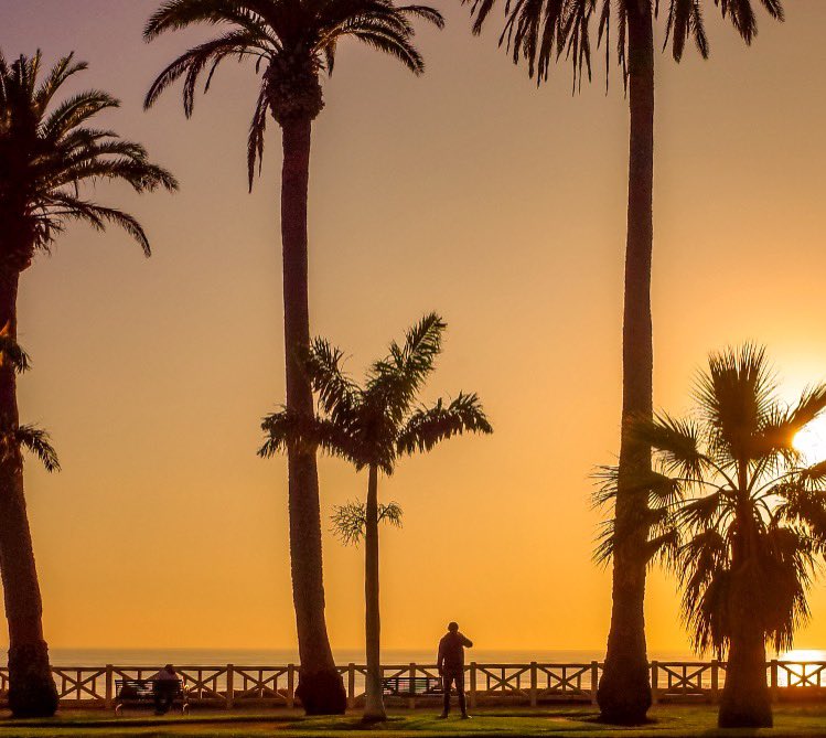 richardgreenla's tweet photo. Solitude Standing…
.
.
#richardgreenla #santamonica #santamonicapier #santamonicabeach #solitude #getlost #explorer #optoutside #worldshotz #instapassport #instatraveling #igtravel #theworldshotz #createexplore #toptravel #thebestdestinations #globe_ #landscape_lovers #palmtrees https://t.co/umaY6HjQmT