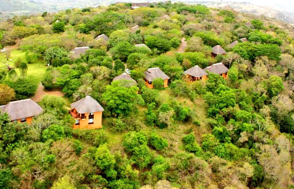 mlungisikhoza10's tweet photo. @AfternoonChat I would love to dip my Puma Rusks at
The beautiful Big 5 game reserve of Hluhluwe-iMfolozi in Northern KZN is an incredible destination and yet so underrated. Almost a hidden gem! 

Just under 3 hours' drive from King Shaka airport #dippingtime https://t.co/y7TVpySvPB