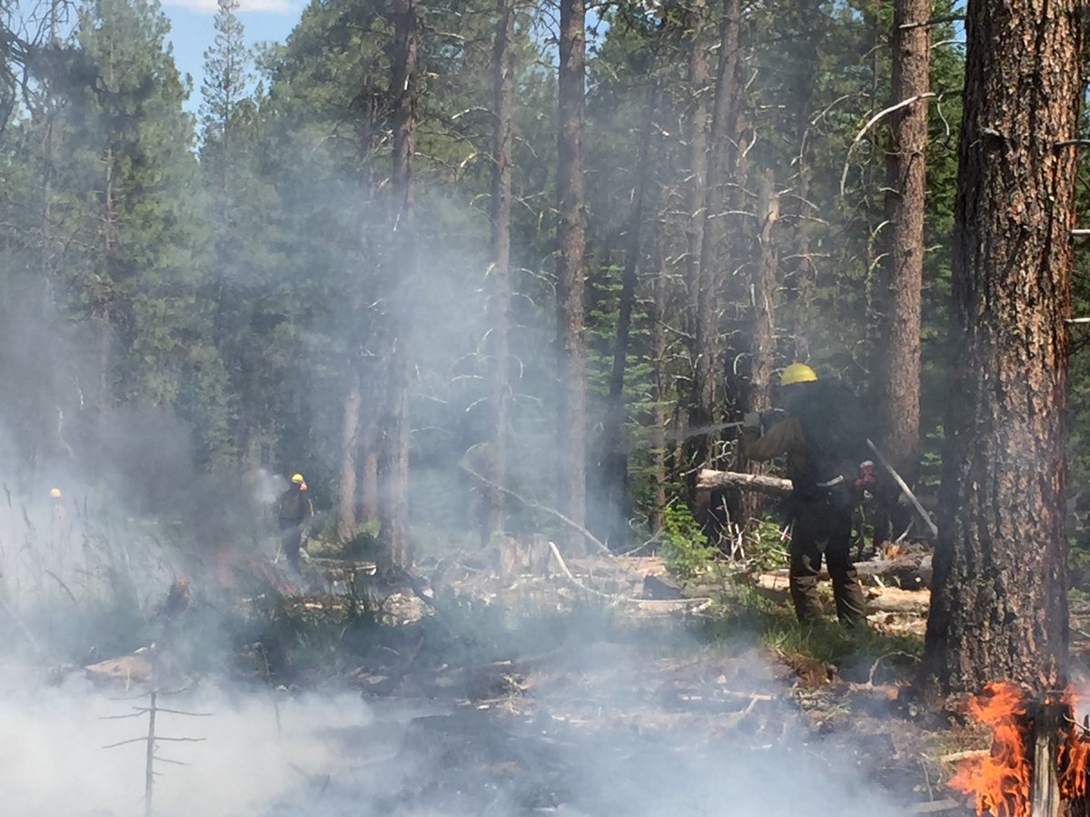 DesNatlForest's tweet photo. Firefighters are making good progress on incident 423, east of Meissner Sno-Park on the Deschutes National Forest. Follow @CentralORFire for more. #InitialAttack #wildfires Thanks to our resilient firefighters who are working hard in 105-degree weather. #oregonheatwave https://t.co/4iSAm21El5