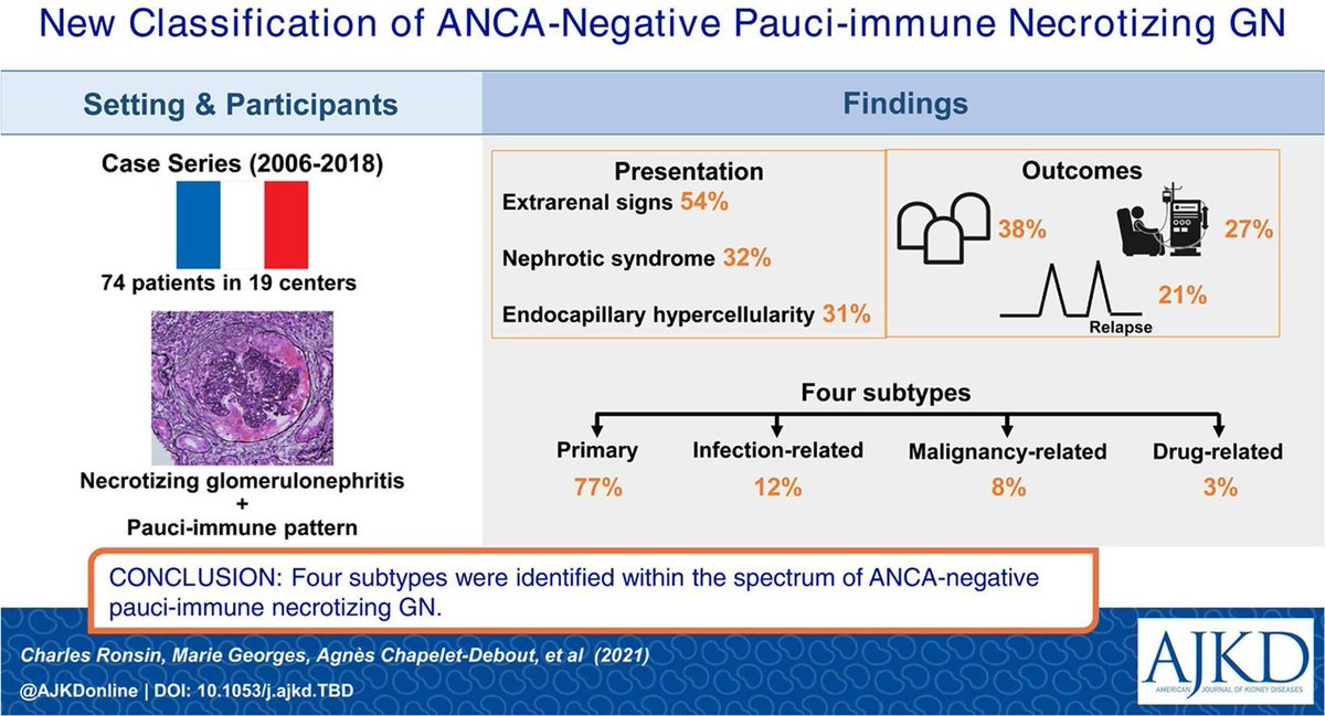 AJKDonline's tweet photo. ANCA-Negative Pauci-immune Necrotizing Glomerulonephritis: A Case Series and a New Clinical Classification

https://t.co/XCyry3BYBm

@RonsinCharles @LudivineLebour1 @MoglieQuintrec @karine_renaudin 

@AKI #ANCA #VisualAbstract https://t.co/fz0dtyi6lf