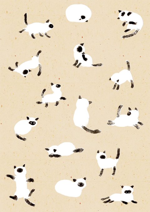 「三毛猫」のTwitter画像/イラスト(古い順｜RT&Fav:50)｜5ページ目