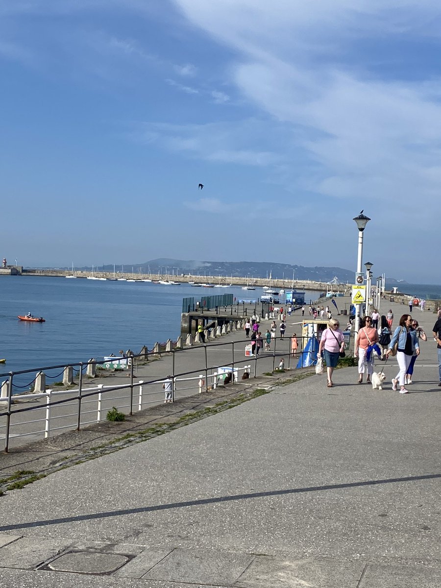 barbarascully's tweet photo. What a great to be a tourist in my hometown today! #ILoveDunLaoghaire #PressTrip #MountainsToSea @DLRTourism https://t.co/9rcstABHt8