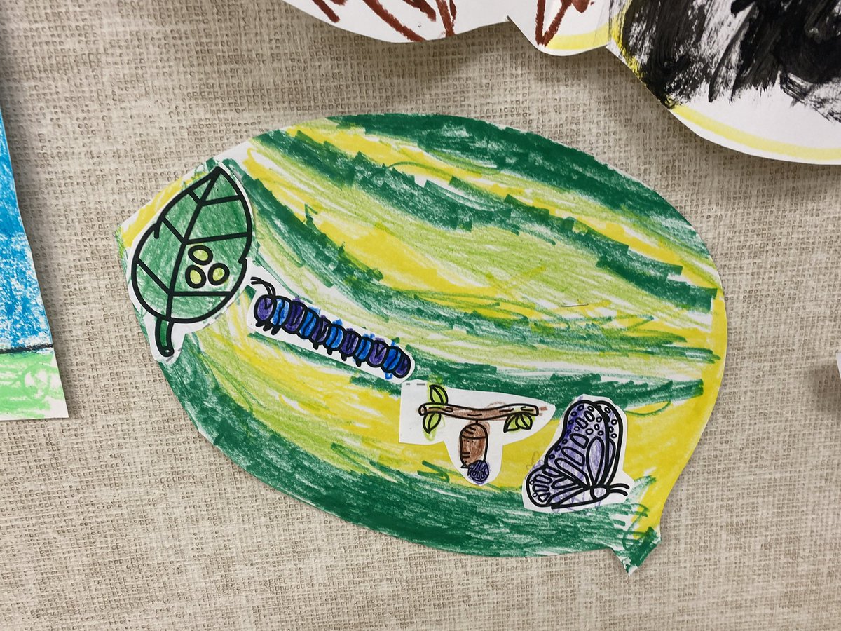 mslowpaz's tweet photo. “My butterfly is an insect!” I love how my leaners make connections with their art and our daily lessons #prek #goingforthegold #AldineSummer #JagSwag #AldinePrimarySummerCamp @JonesECPKK_AISD @Magrill_AISD @GFTG2021_AISD @KoryJessie @KimberlyBowie11 #aldineart https://t.co/MD4JucBEyN