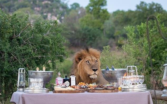 thelaceylondon's tweet photo. In six words or fewer, write a short story about this photo...

#amwriting #sixwordstory https://t.co/Uab3iDckzn