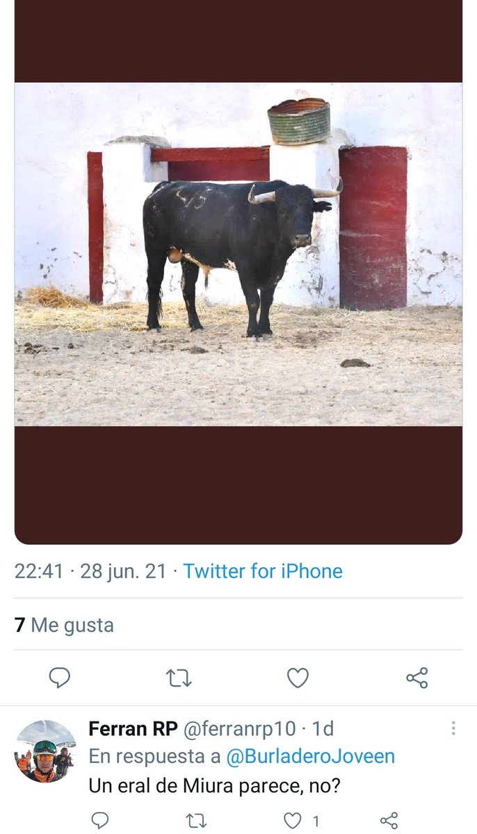 AlberViti's tweet photo. Berengeno, de Miura,649 kg de Toro.
Si esq te tienes que Reir jajaja😂😂
#LosAfisionaosWenos #LosMas https://t.co/lMapcmxohX