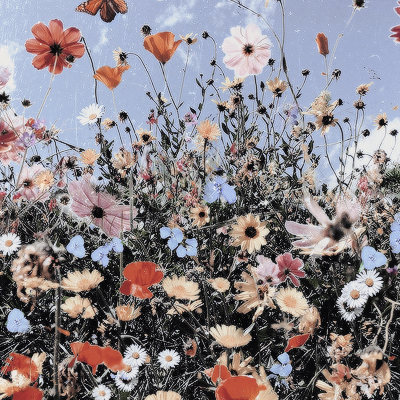 ⠀
⠀
⠀⠀⠀⠀⠀𝐀𝐑𝐈𝐀𝐃𝐍𝐀 𝐁𝐋𝐀𝐍𝐂𝐎
⠀⠀⠀⠀⠀⠀𝐂𝐎𝐌𝐌𝐄𝐑𝐅𝐎𝐑𝐃.⠀*

⠀⠀⠀⠀ᴀϙᴜɪ́ ᴇɴ ᴇsᴘᴀɴ̃ᴀ sᴏɴ ᴍᴜʏ
⠀⠀⠀⠀ʟᴇɴᴛᴏs. ʏ ʜᴜᴇʟᴇ ʀᴀʀᴏ,
⠀⠀⠀⠀ᴄᴏᴍᴏ ᴀ ᴘᴀᴄʜᴜʟɪ. ┈

⠀⠀⠀⠀· élite rp.
⠀⠀⠀⠀· ships w/ chem.
⠀
⠀