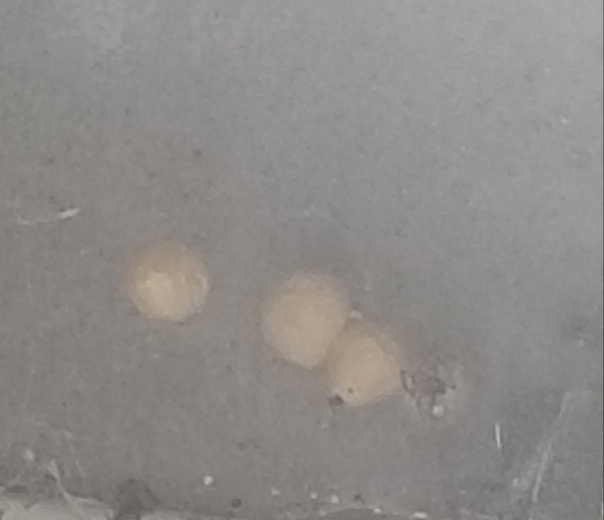 Maite GAR tweet media